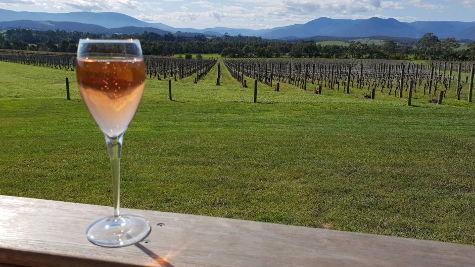 From Melbourne: Yarra Valley Wine, Gin, Chocolate Day Trip - Venue Options