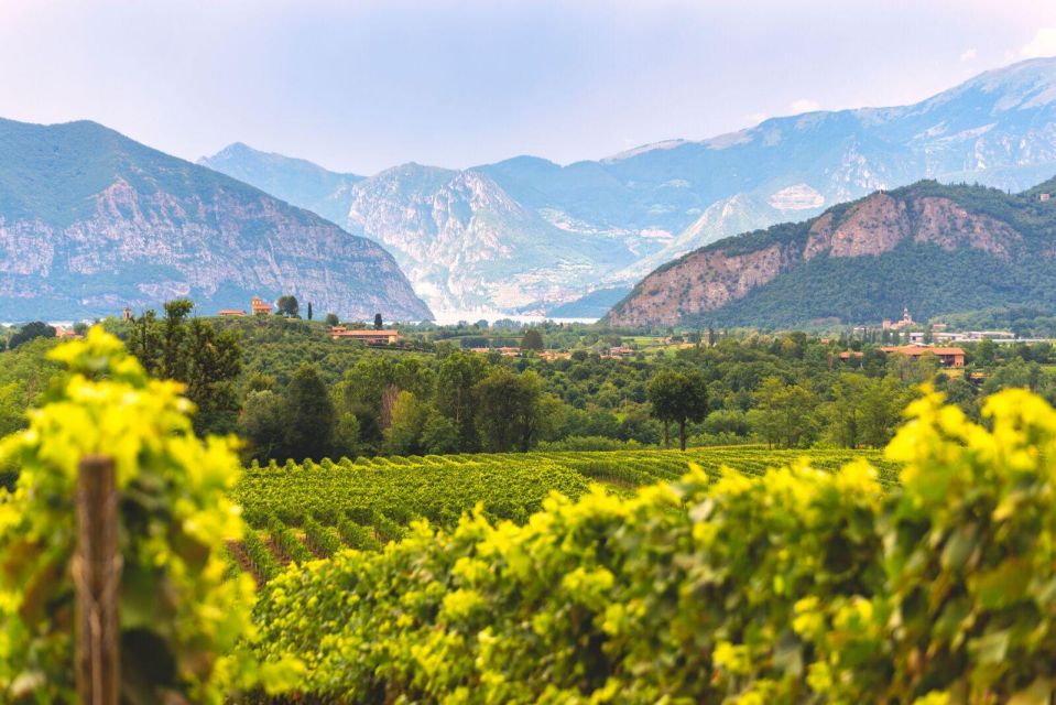 From Milan: Lake Iseo, Bergamo & Franciacorta Wine Tour - Directions