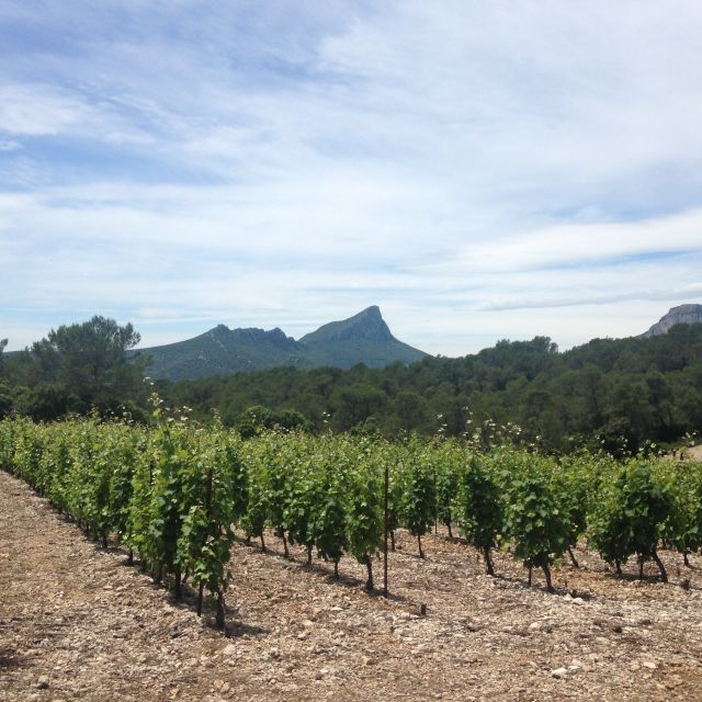 From Montpellier: Pic Saint-Loup Wine and Food Tour - Directions