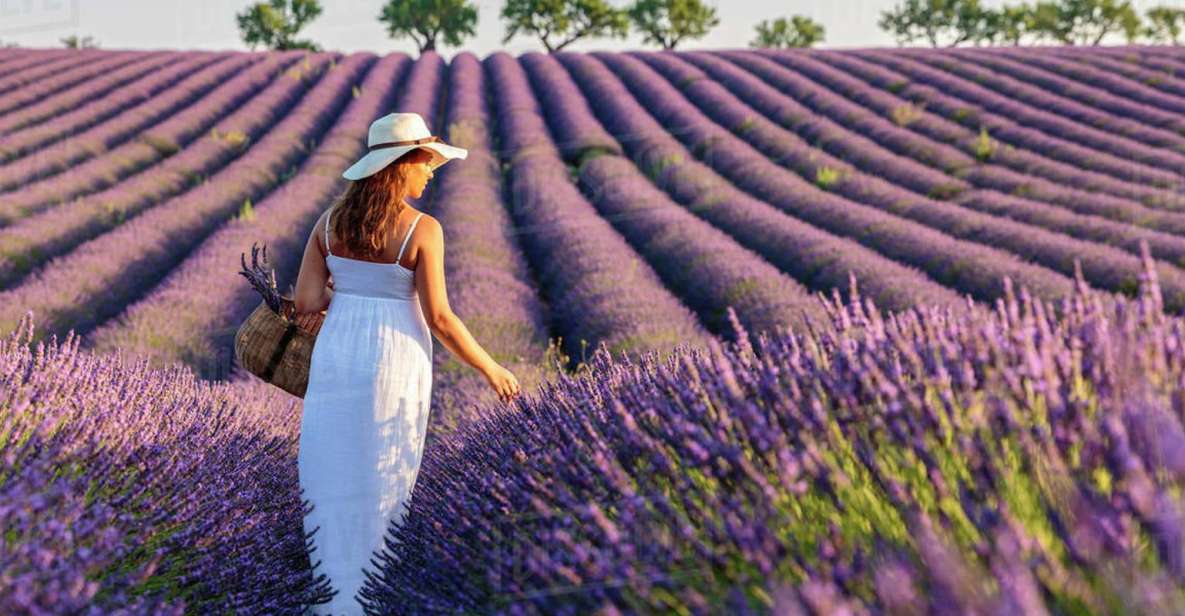 From Nice: Full-Day Provence and Lavender Tour - Directions