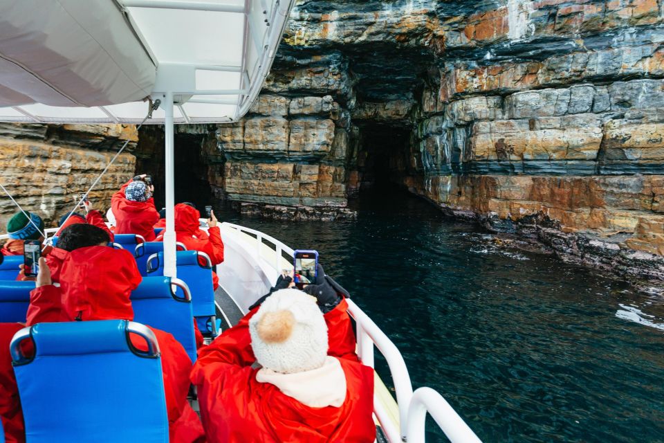 From Port Arthur: Tasman Island Wilderness Cruise - Transport and Amenities