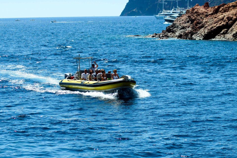 From Porto: Scandola and Calanche De Piana Boat Tour - Important Tour Information