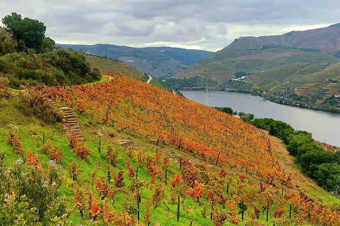 From Porto to Douro Valley, Unesco World Heritage - Cultural Experiences and Traditions