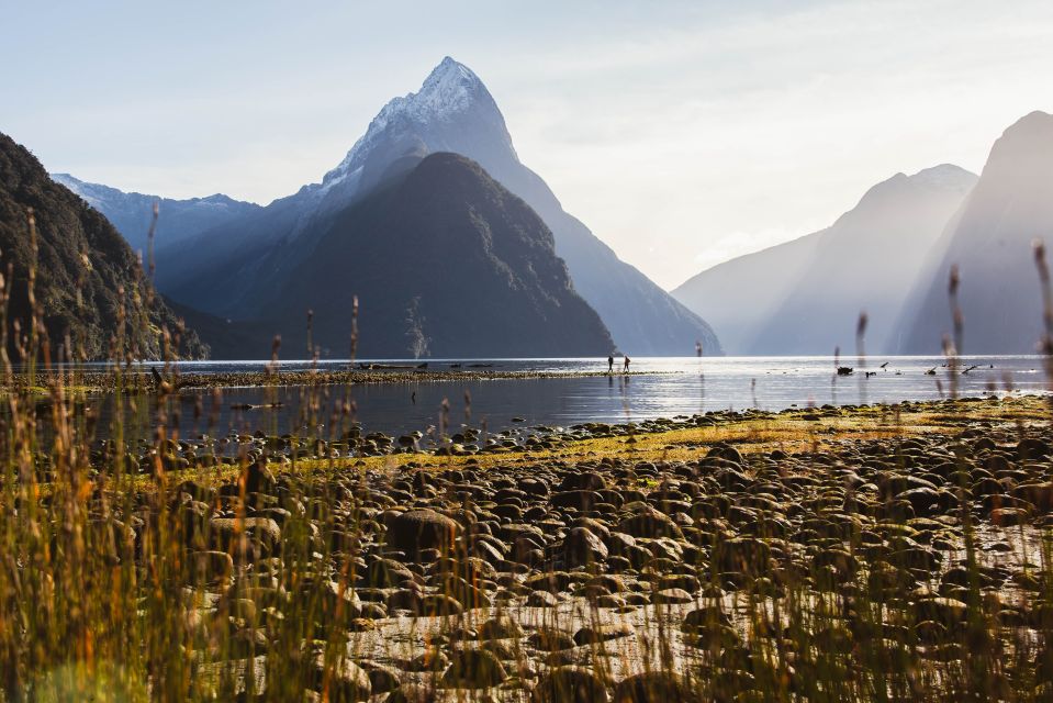 From Queenstown: Milford Sound Scenic Flight & Nature Tour - Common questions