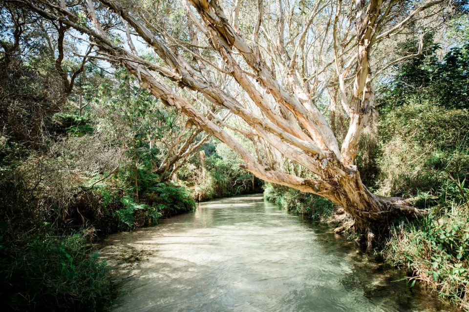 From Rainbow Beach: K'gari, Fraser Island Two-Day Coach Tour - Expert Guide Insights