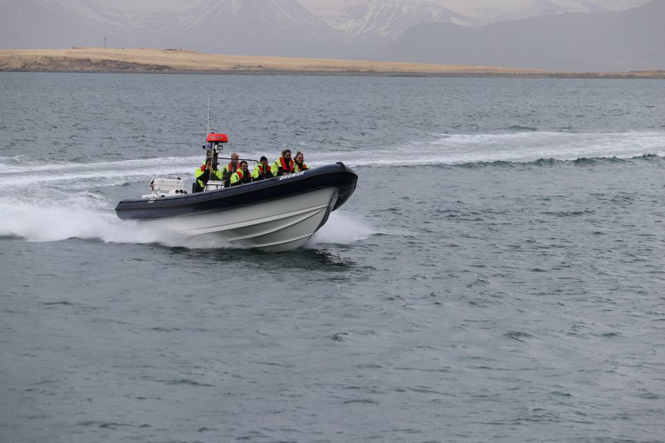 From Reykjavík: Puffin Watching Tour by Speedboat - Educational Audio Guide & App Usage