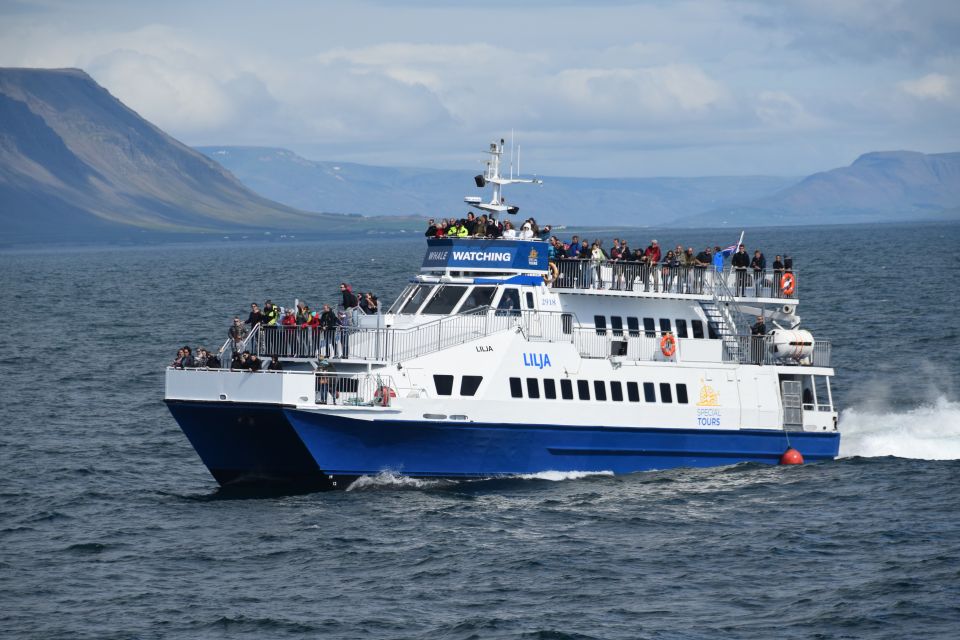 From Reykjavik: Whale Watching Tour by Fast Catamaran - Common questions