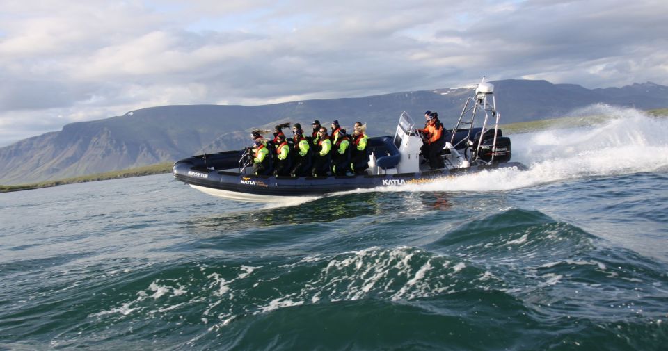 From Reykjavik: Whale Watching Tour by Speedboat - Tour Departure Details