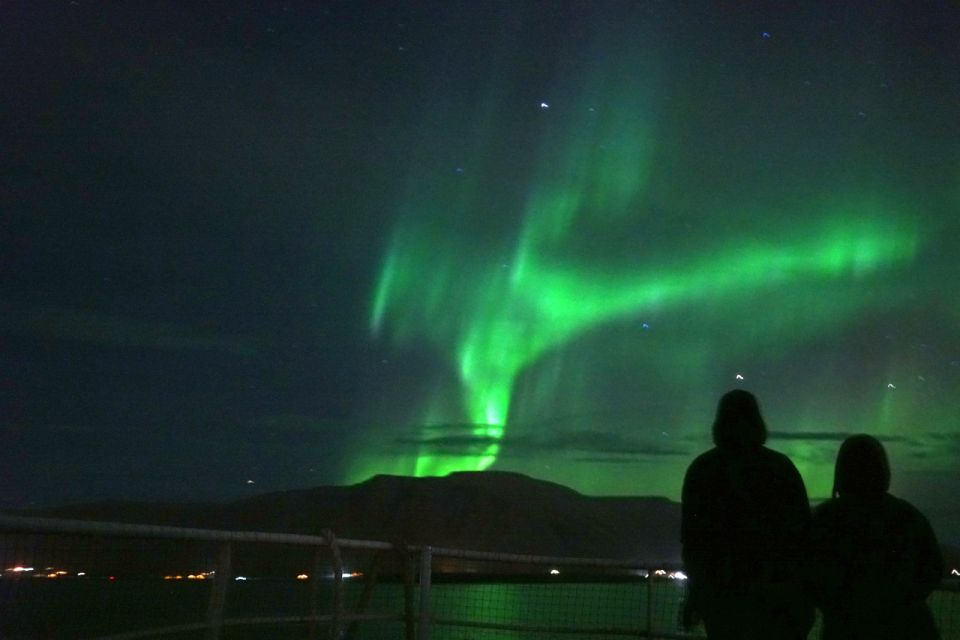 From Reykjavik: Whales and Northern Lights Boat Tour - Common questions