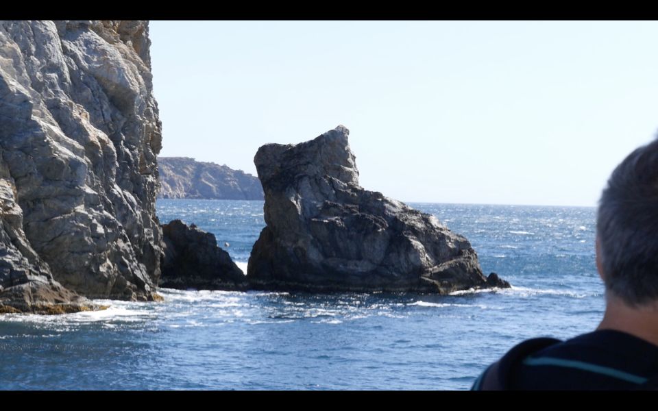 From Roses: Cadaqués Catalonian Coast Boat Tour - Common questions