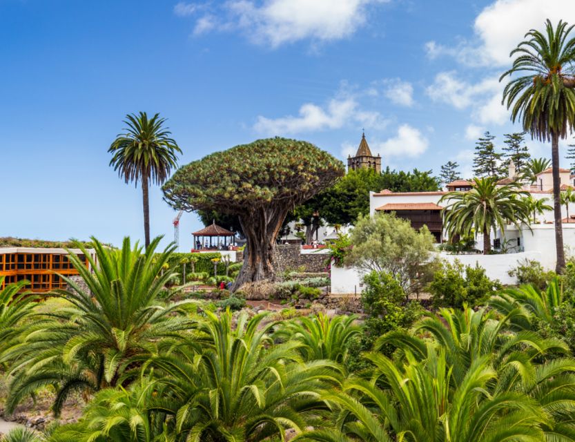 From Santa Cruz De Tenerife: Masca & Garachico Private Trip - Additional Information