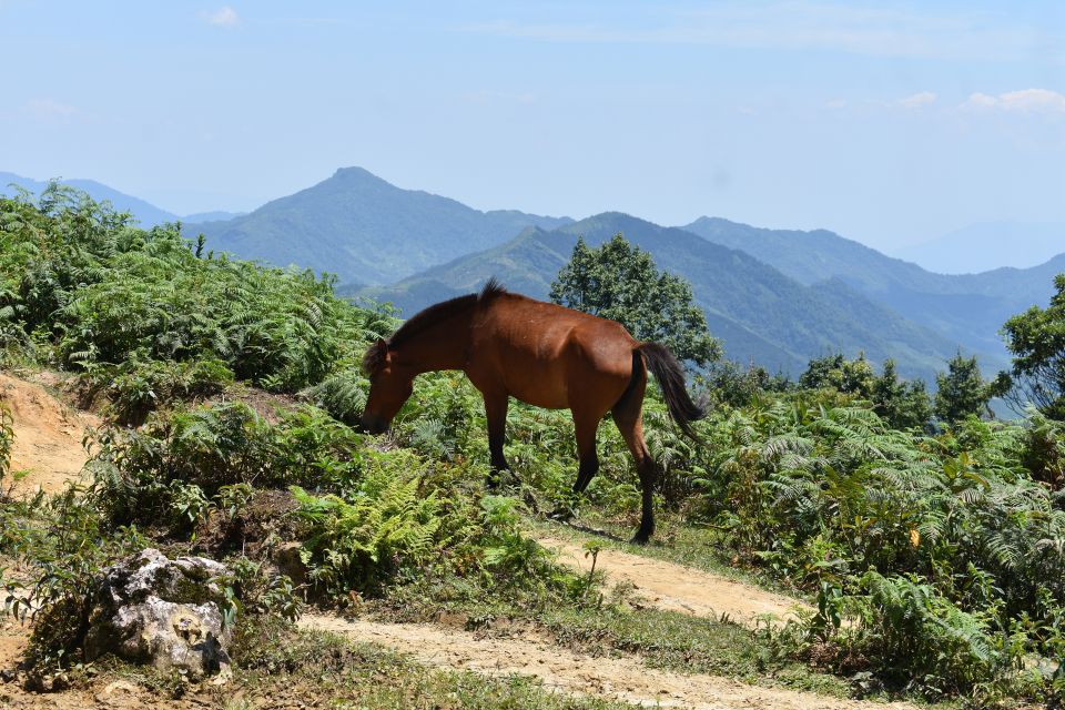 From Sapa: 2D1N Sapa Trekking Tour With Local Expert - Common questions