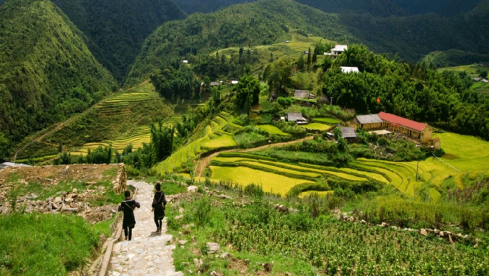 From Sapa : Full-Day Trekking With Lunch and Drop-Off - Common questions