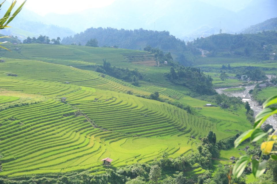 From Sapa: Full Day Visit Local Village With Local Guide - Local Guide Insights