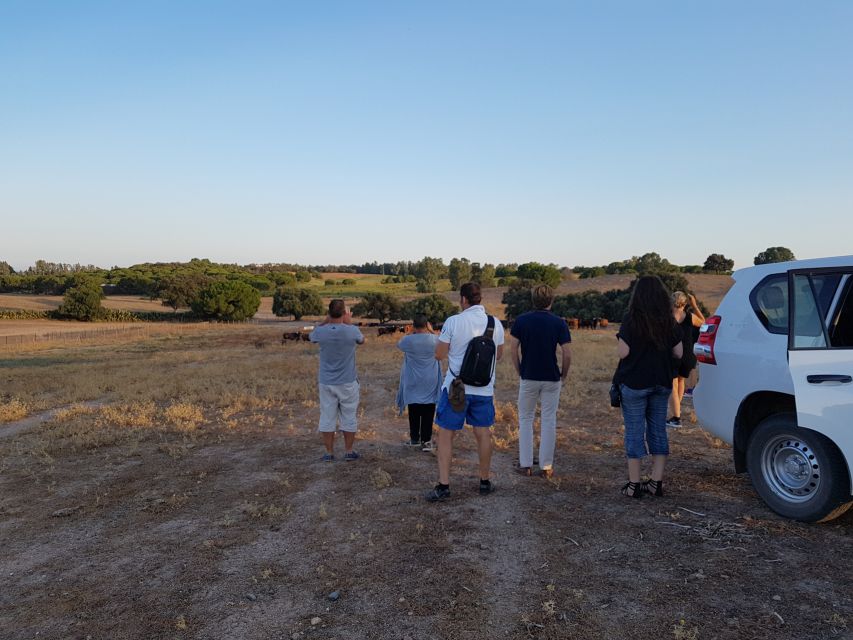 From Seville: Half-Day Bull Breeding Farm Tour - Common questions