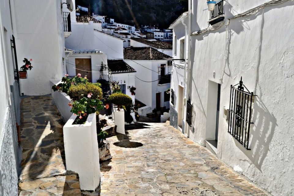 From Seville: White Villages Tour - Common questions