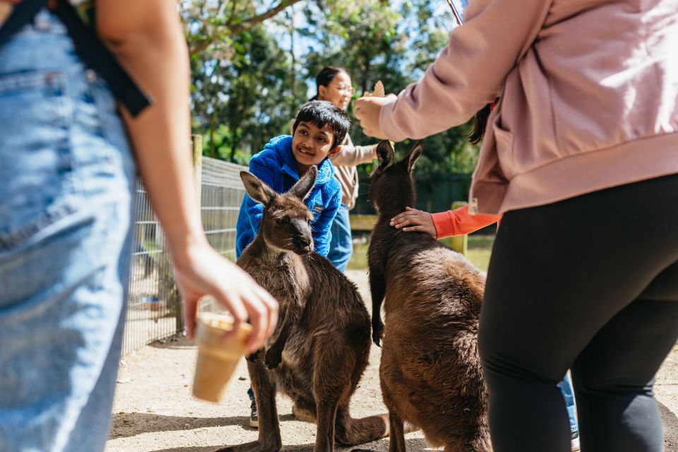 From Sydney: Blue Mountains Full-Day Trip - Important Information