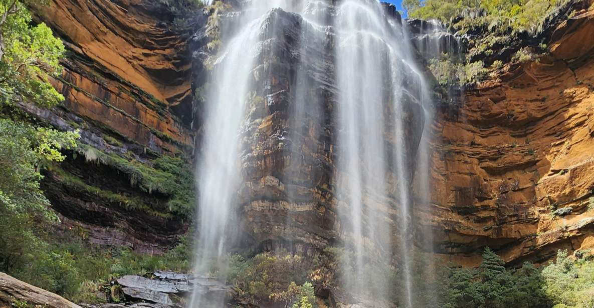 From Sydney: Blue Mountains Tour With Waterfall Walk & Lunch - Customer Reviews