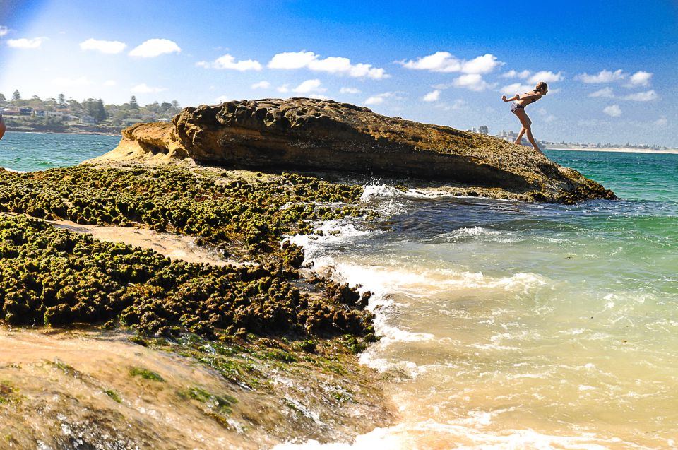 From Sydney: Sea Cliff Bridge, Beaches, and Farmlands Tour - Meeting Points