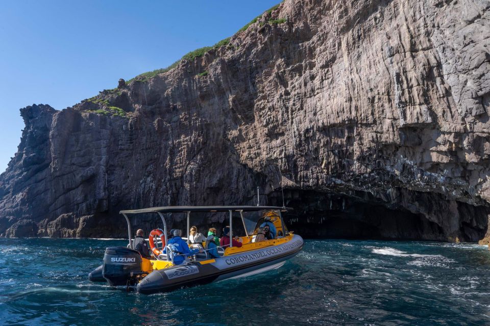 From Tairua: Coromandel Peninsula Guided Scenic Cruise - Last Words