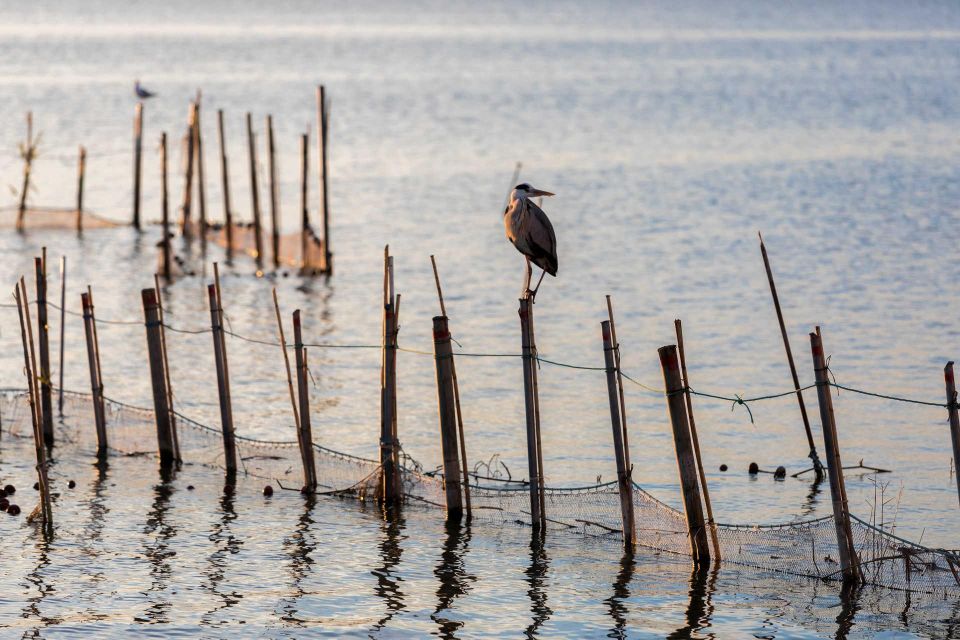 From Valencia: Albufera Natural Park With Sunset Experience - Departure Information