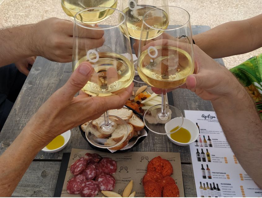 From Valencia: Requena Wine Tour With Tastings - Vineyard Exploration and Grape Tasting