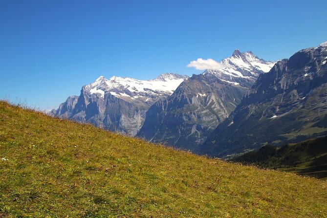 From Zurich to Top of Europe Jungfraujoch Private Tour - Common questions