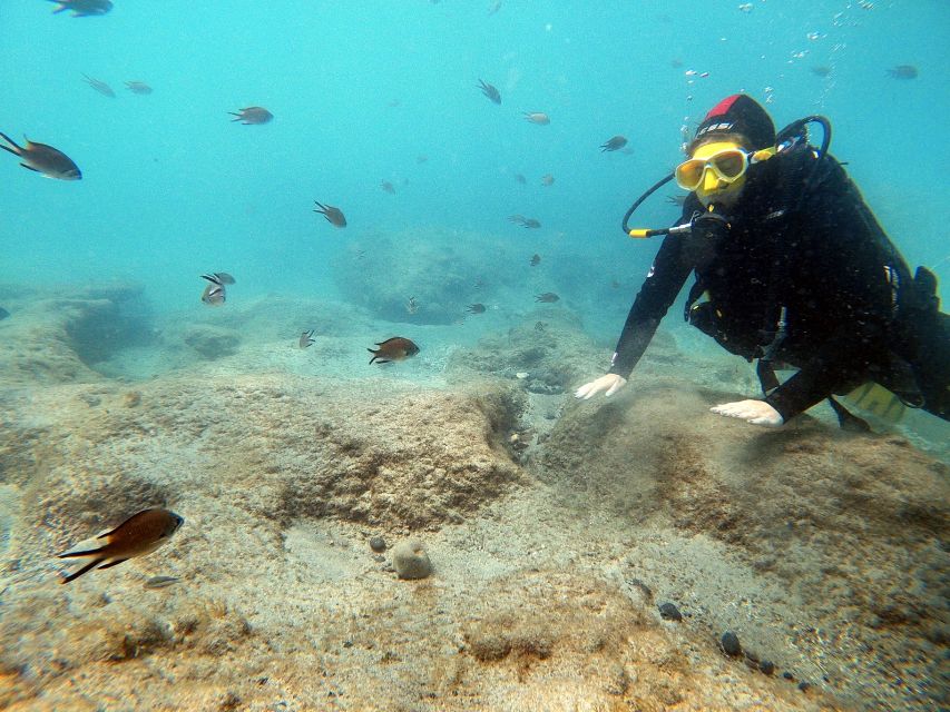 Fuerteventura : Discover Scuba Diving - Common questions