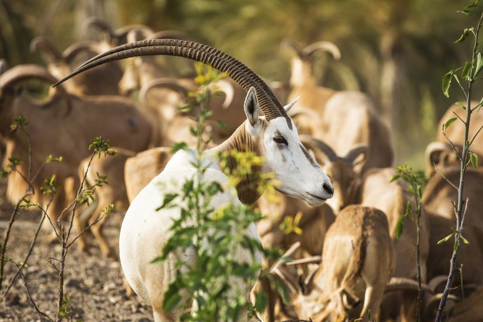 Fuerteventura: Oasis Wildlife Entry Ticket - Common questions