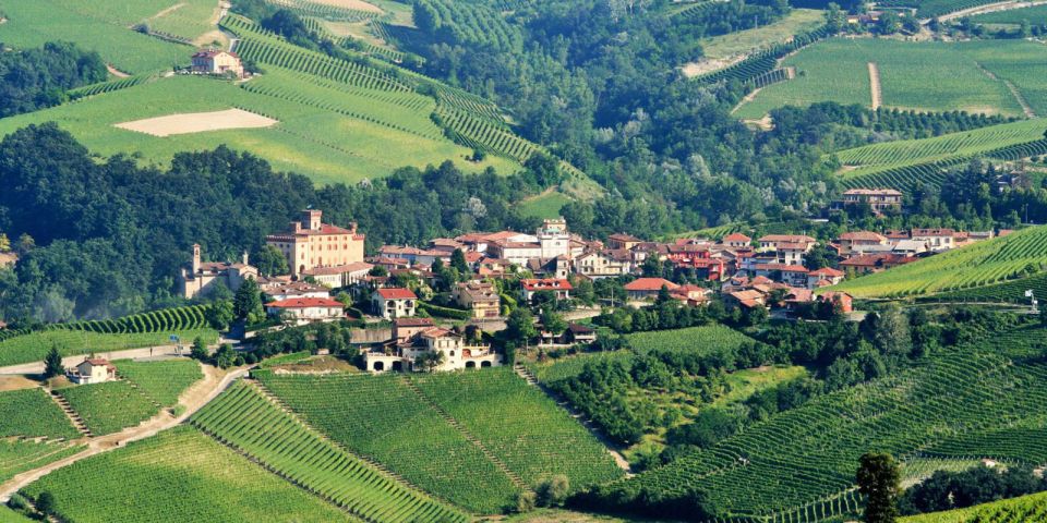 Full-Day Barbaresco Wine Tour With Truffle Hunting and Lunch - Common questions