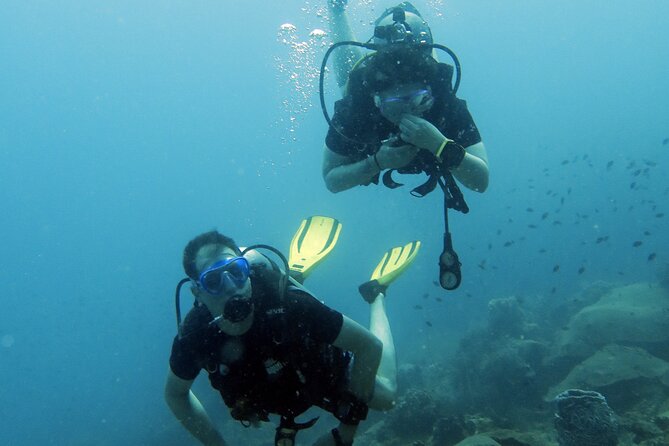 Full Day Diving Activity in Thailand With Lunch - Additional Details
