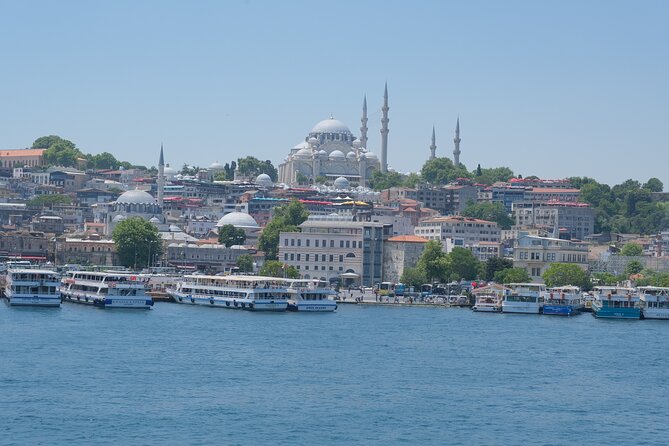 Full Day Istanbul Bosphorus Cruise and Dolmabahce Palace Tour With Private Guide - Booking Information