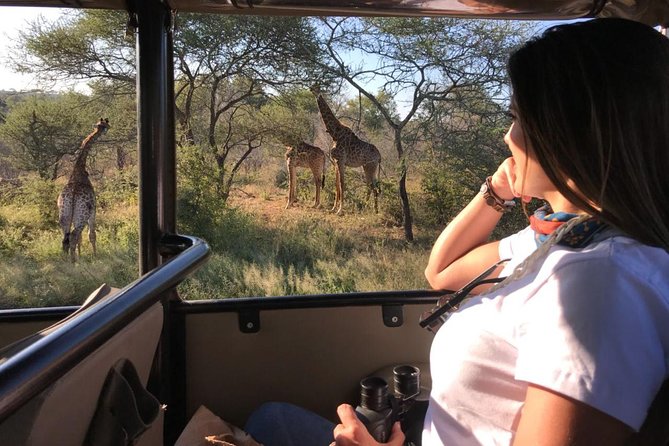 Full Day Kruger Safari Tour - Sunset Farewell