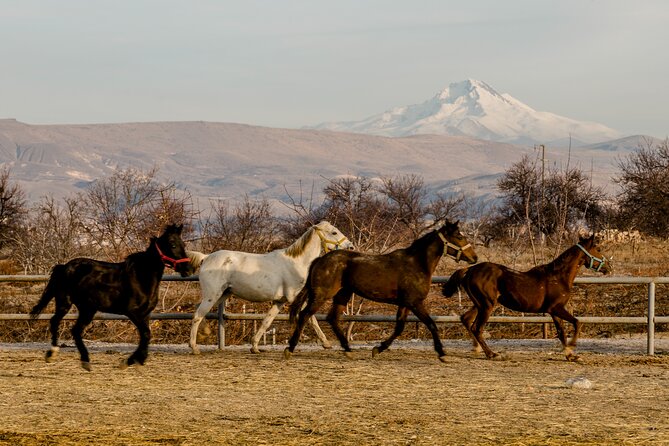 Full Day Private South Tour in Cappadocia - Common questions