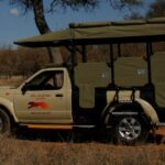 6 full day safari in the kruger national park Full-Day Safari in the Kruger National Park