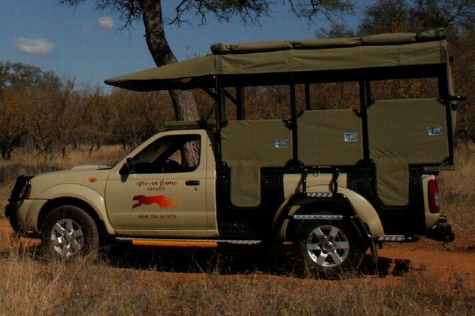 Full-Day Safari in the Kruger National Park