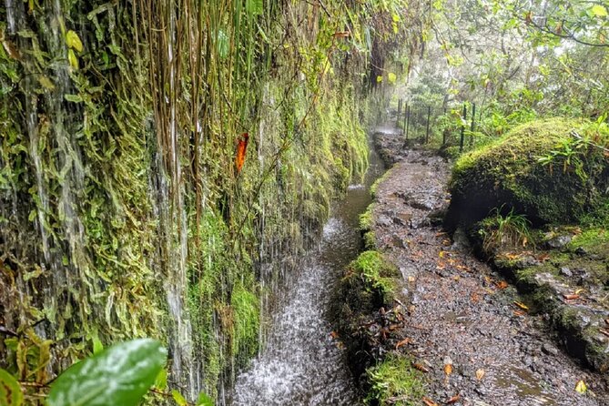 Full-Day Self Guided Hike in Caldeirão Verde Levada - Last Words