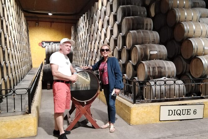 Full-Day Tequila Tour From Guadalajara - Company Background and Tour Cost