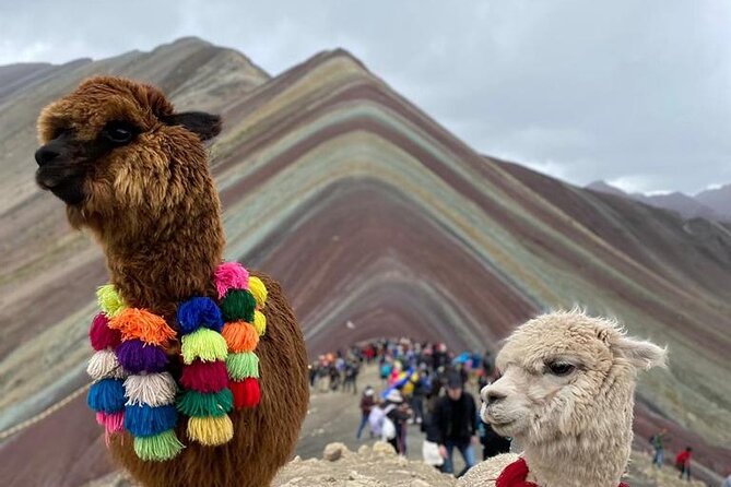 Full Day Tour in ATV by Montana 7 Colores Cusco - Common questions