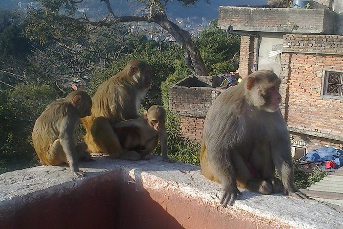 Full-Day Tour of Kathmandu Valleys UNESCO World Heritage Sites - Last Words