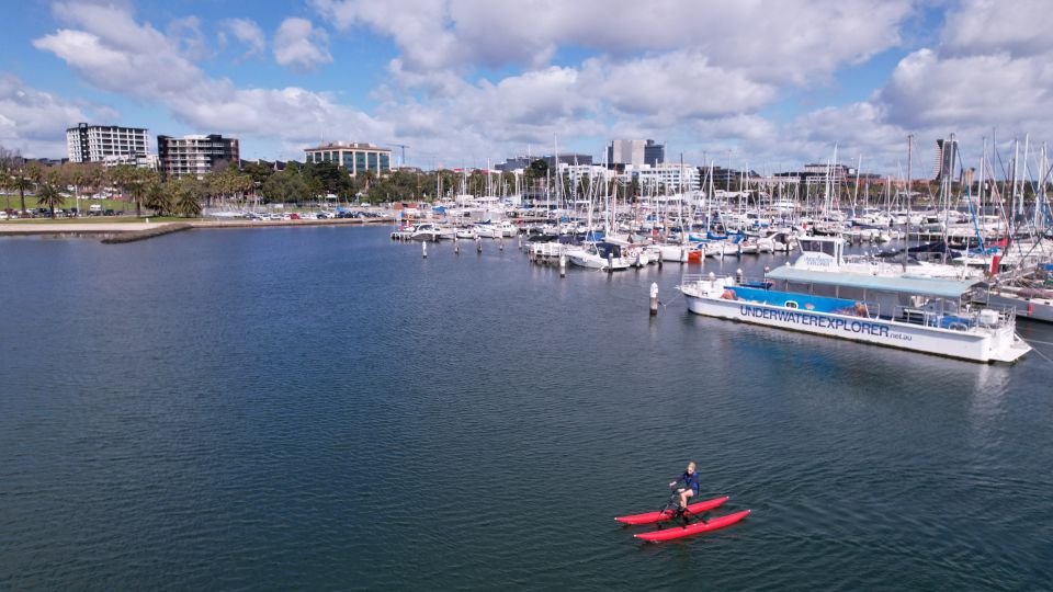 Geelong: Water Bike Coastal Tour - Common questions