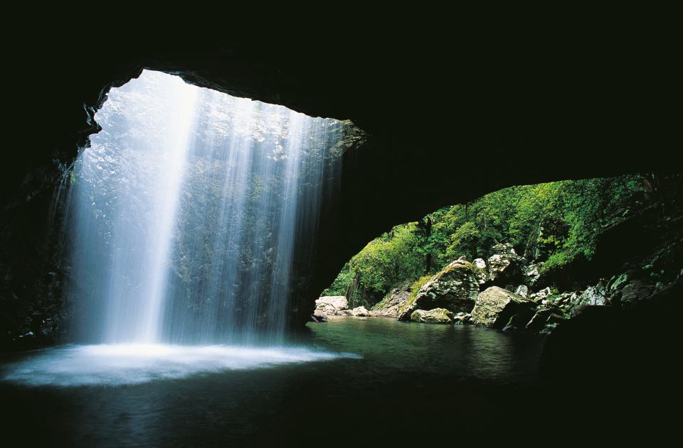 Gold Coast: Natural Bridge & Springbrook Waterfalls Tour - Customer Reviews and Ratings