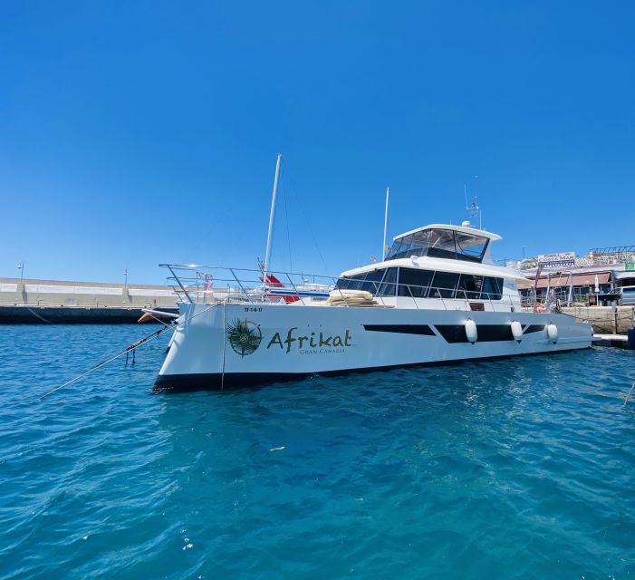 Gran Canaria: Fun Catamaran Cruise With Food and Drinks - Customer Reviews and Ratings