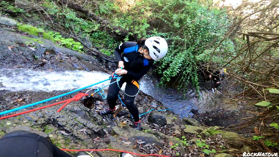 Gran Canaria: Rainforest Canyoning Tour With Gear and Snack - What to Bring for the Tour