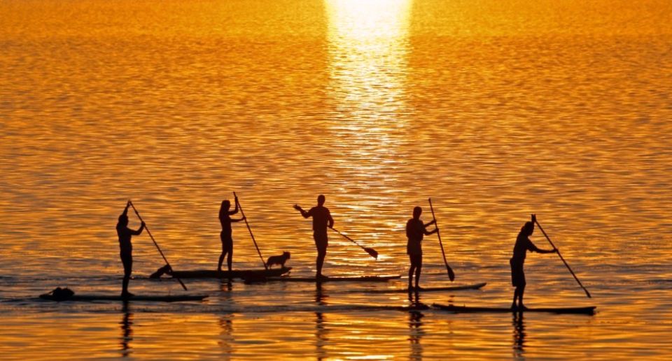 Gran Canaria: Stand-Up Paddle Lesson & Snorkeling Tour - Safety Measures