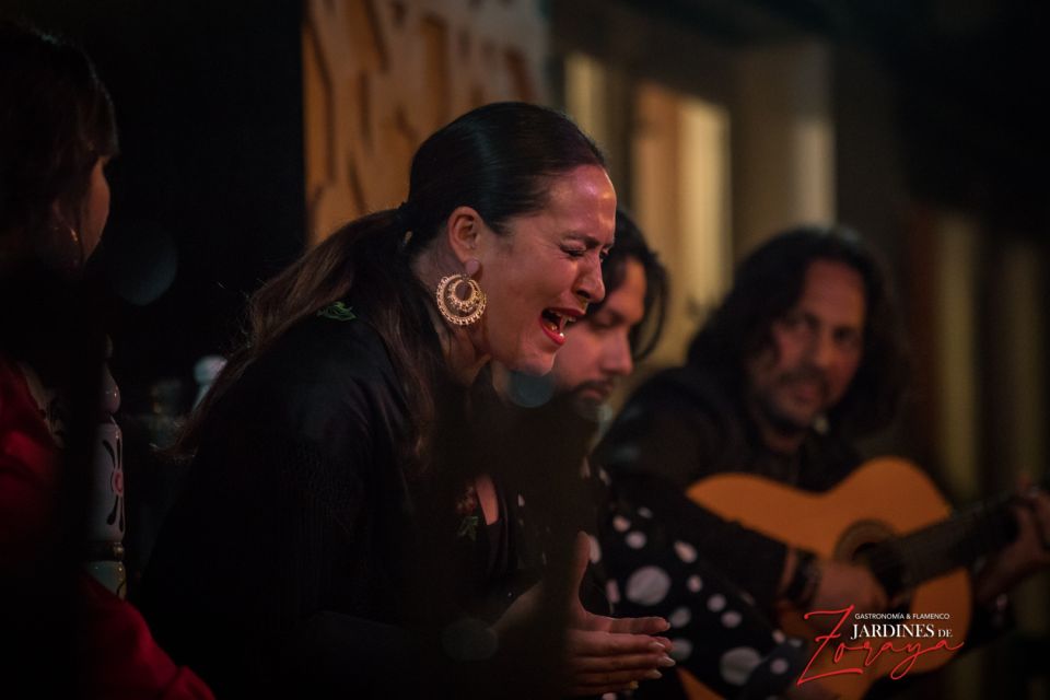 Granada: Flamenco Show in Albaycin - Jardines De Zoraya - Flamenco Dance Passion