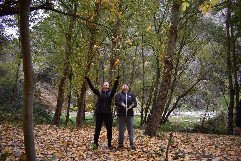 Granada: Hiking Along the Gollizno Route - Directions