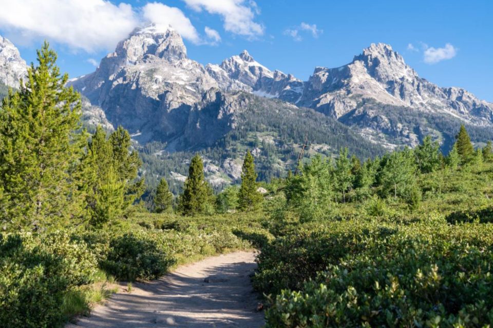 Grand Teton, Yellowstone, Glacier NP: Self-Guided Audio Tour - Using the Action Tour Guide App