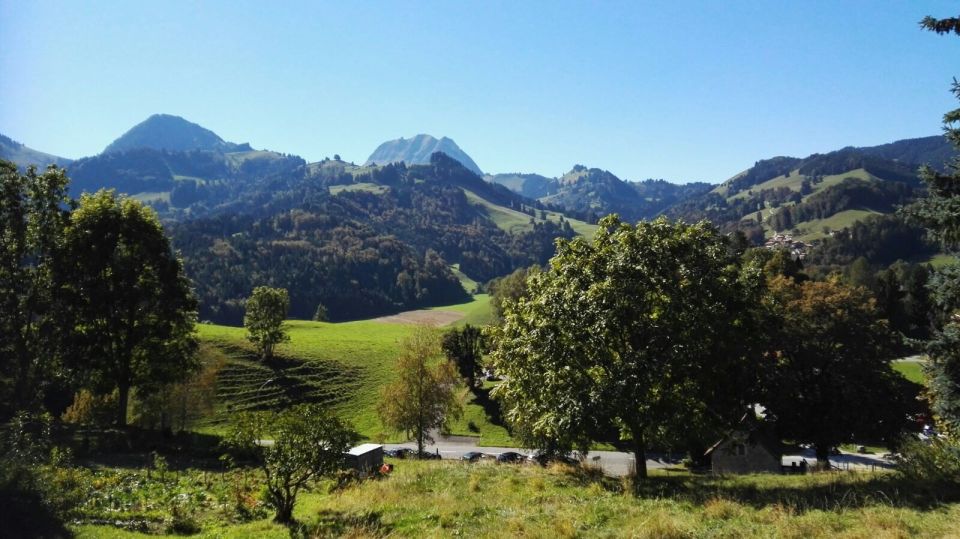 Gruyères, Cheese and Chocolate: Private Guided Tour - Last Words