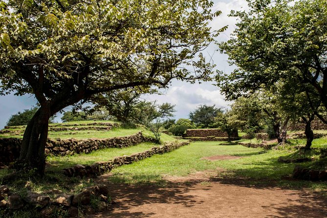 Guachimontones Archaeological Tour - Viator Information & Pricing